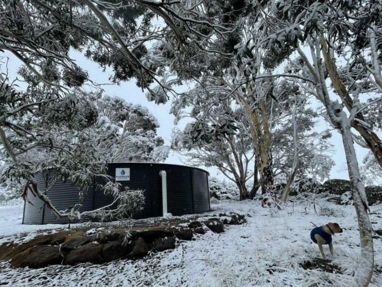 Snow Loading Water Tanks with dog pioneer water tanks